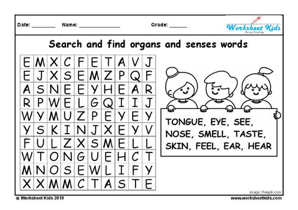 sense organs crossword puzzle free printable pdf