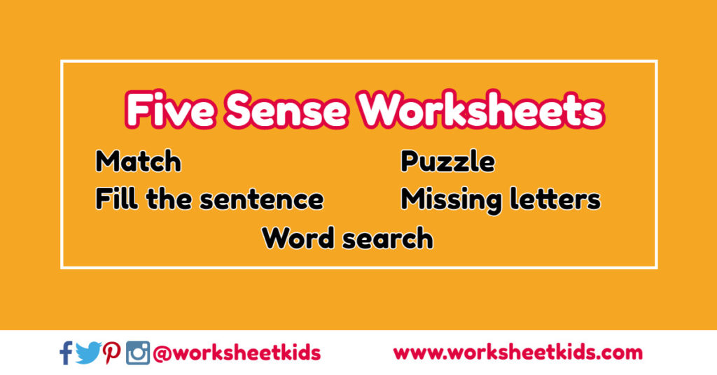 5 sense activities and worksheets for preschool and kindergarten