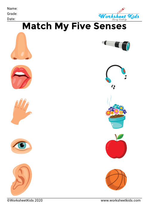 five senses picture match