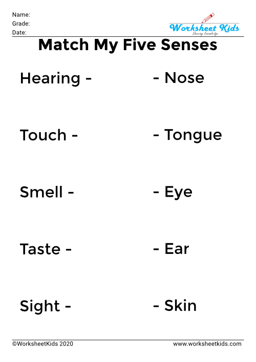 five senses words match