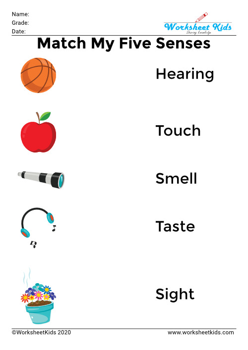 five senses words vs picture match