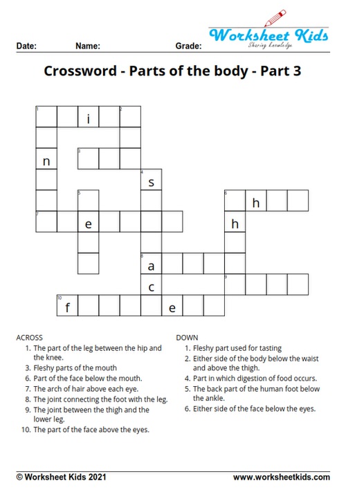 body crossword clue