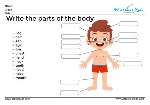 write the parts of the body of boy