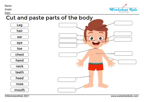 cut and paste Parts of the body of boy