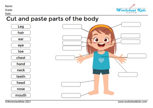 الواجهة البحرية مؤخرا غريب الأطوار  Body parts worksheet and activities for preschoolers and Kindergarten kids