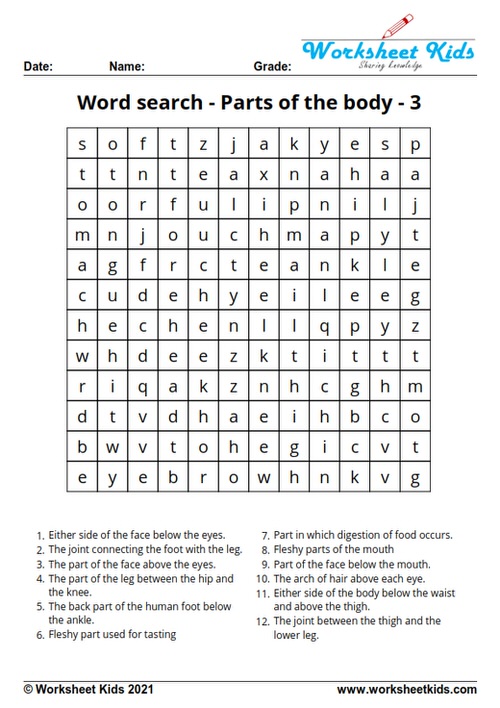 body parts vocabulary word search puzzle
