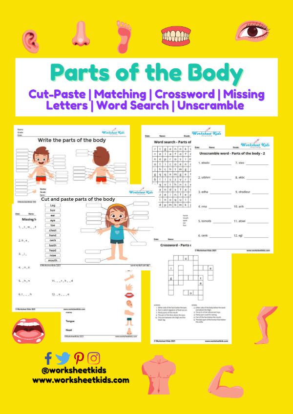 parts of the body for kids worksheets