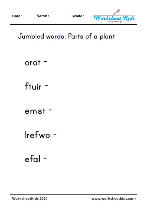 Jumbled unscramble words plant parts names for kindergarten grade 1 kids