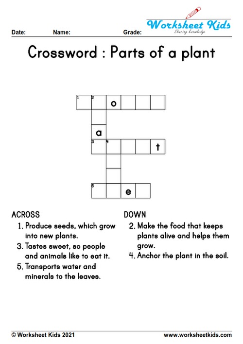 parts of plants and their functions Crossword kindergarten kids