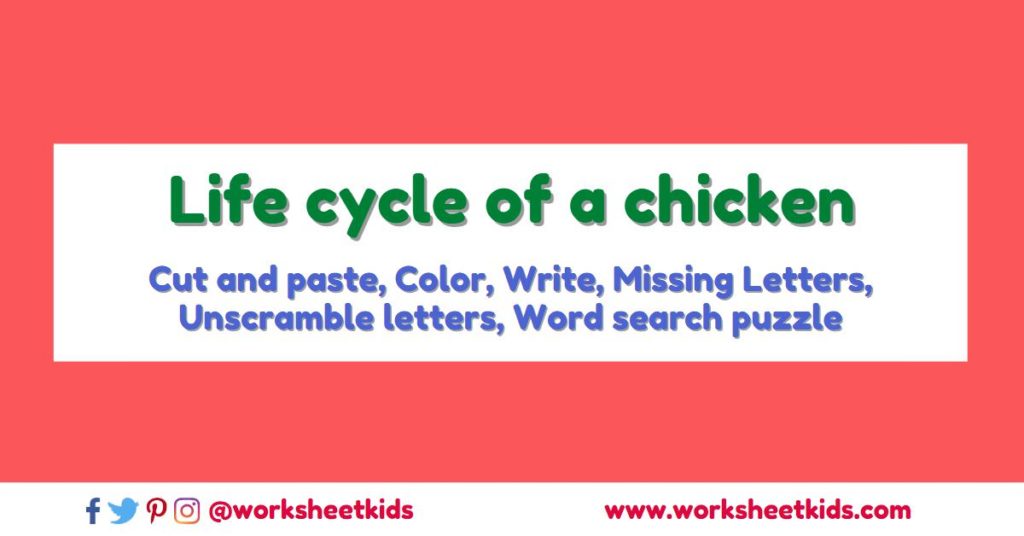 4 stages of chicken life cycle worksheets and activities for kids
