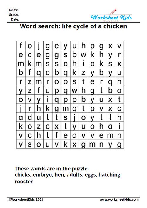 word puzzle search on life cycle of chicken for kids in preschool kindergarten grade 1 grade 2